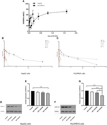 The In-Vitro Antitumor Effects of AST-3424 Monotherapy and Combination Therapy With Oxaliplatin or 5-Fluorouracil in Primary Liver Cancer